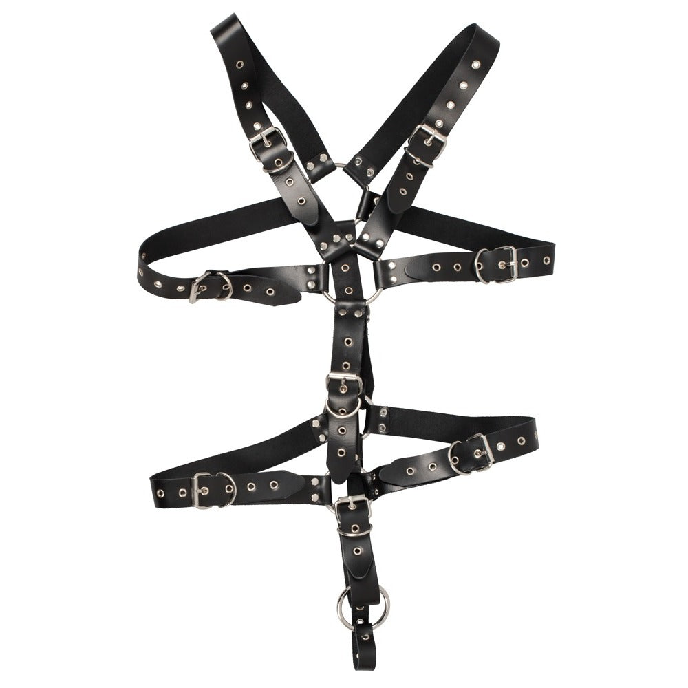 > Bondage Gear > Restraints Zado Mens Leather Adjustable Harness With Cock Ring   